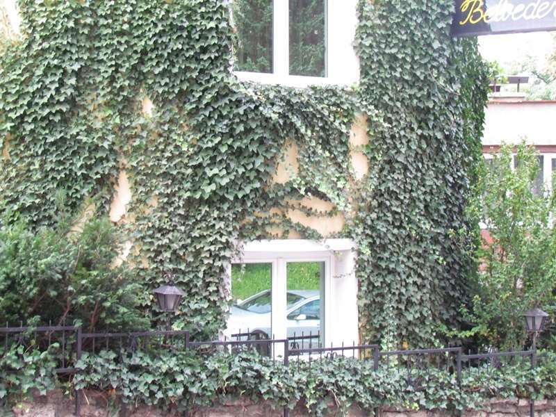 Hotel Belvedere سراييفو المظهر الخارجي الصورة